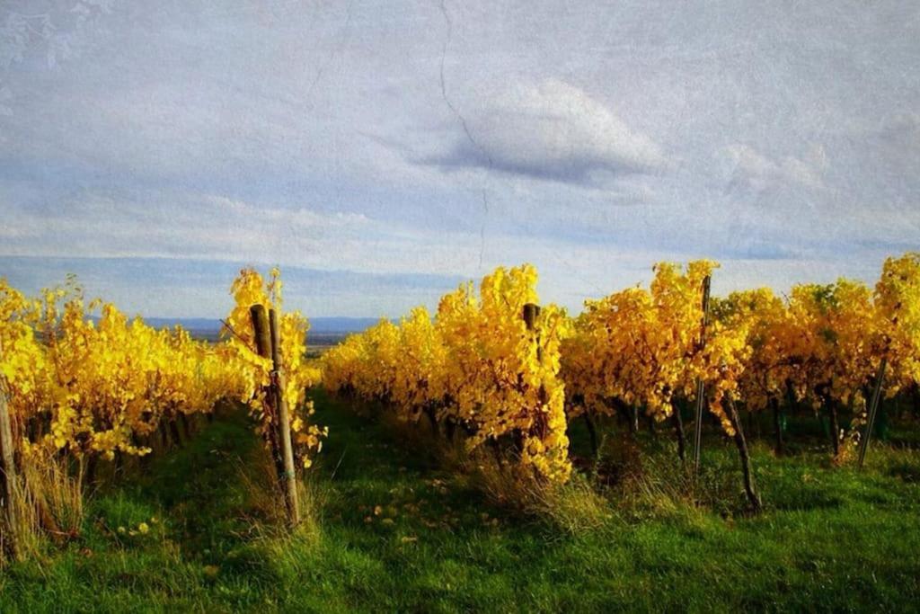 Au Petit Nid De Seebach Luaran gambar